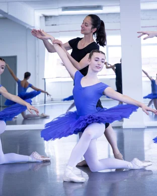 World Ballet Company: The Sleeping Beauty